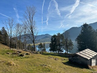Apartamento Walchsee Entorno 28