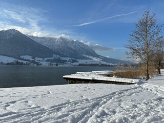 Apartamento Walchsee Entorno 30