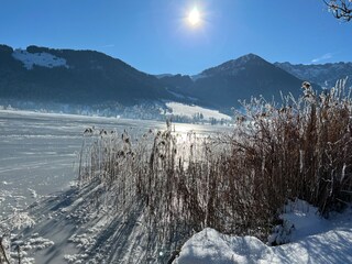 Apartamento Walchsee Entorno 34