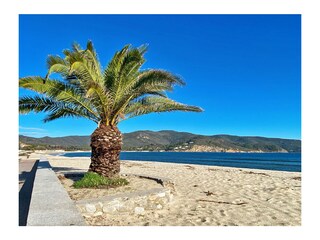 Vakantieappartement Marina di Campo  30