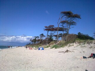 Naturstrand