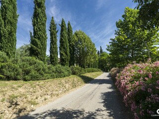 Ferienwohnung Vallon-Pont-d'Arc Außenaufnahme 17