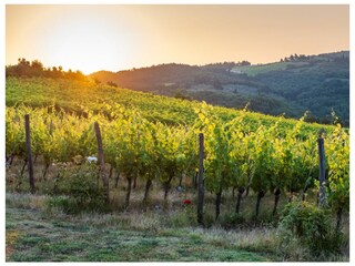 Villa Greve in Chianti Ambiente 47