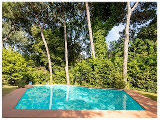 Ferienhaus Forte dei Marmi Umgebung 7