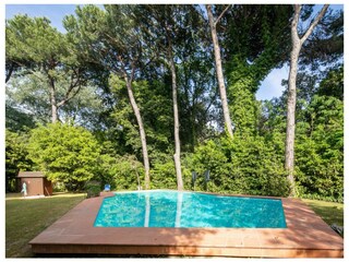 Casa per le vacanze Forte dei Marmi Ambiente 8