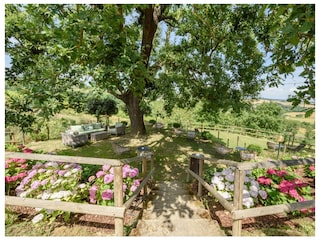 Villa Gambassi Terme Omgeving 60