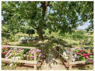 Villa Gambassi Terme Umgebung 60