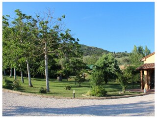 Villa Castiglion Fiorentino Umgebung 17