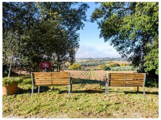 Villa Trequanda Registrazione all'aperto 6