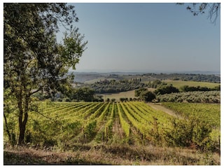 Villa Trequanda Buitenaudio-opname 8