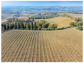 Villa Trequanda Ambiente 34