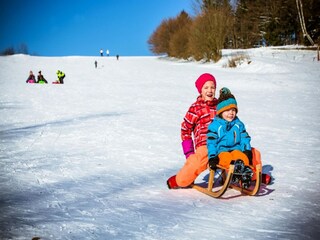 Apartment Freyung Environment 22