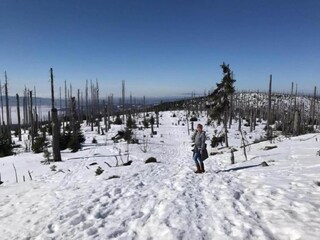 Appartamento Freyung Ambiente 30