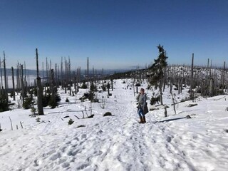 Apartment Freyung Umgebung 31