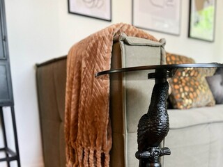 Casa per le vacanze Rheezerveen Caratteristiche 16
