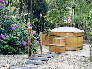 Ferienhaus Rheezerveen  35