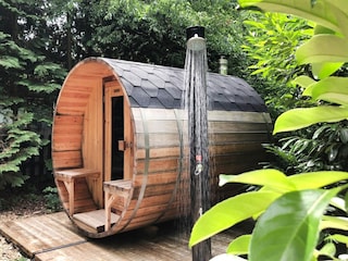 Ferienhaus Rheezerveen  31