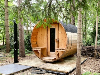 Ferienhaus Rheezerveen  34