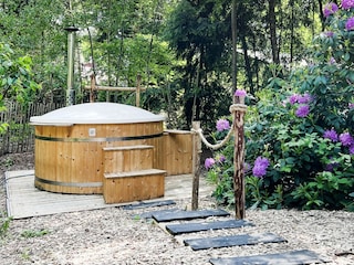 Maison de vacances Rheezerveen  27