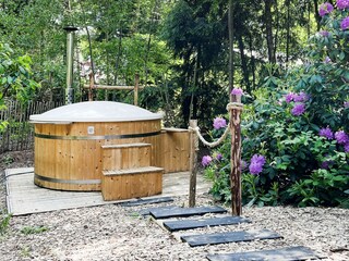 Vakantiehuis Rheezerveen  24