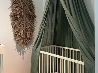 Vakantiehuis Rheezerveen Kenmerken 20