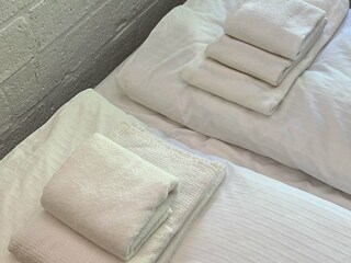 Vakantiehuis Rheezerveen Kenmerken 21