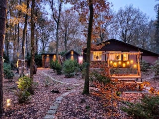 Vakantiehuis Rheezerveen Omgeving 21