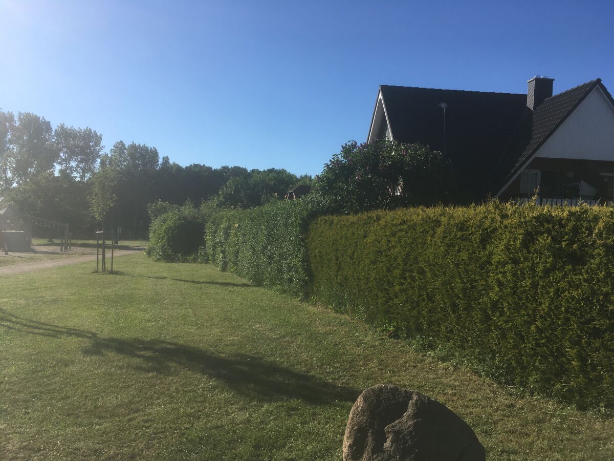 Aussenansicht mit Hecke vor der Terasse