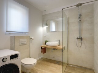 Villa Loborika Caratteristiche 22