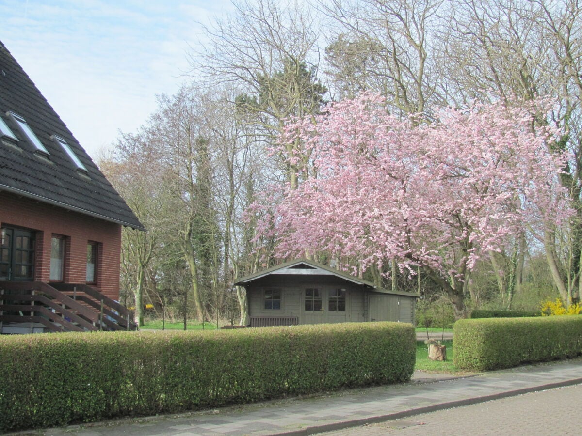 Hausansicht im Frühling