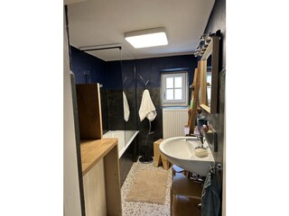 Casa per le vacanze Ebensee Caratteristiche 20