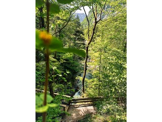Casa per le vacanze Ebensee Ambiente 35