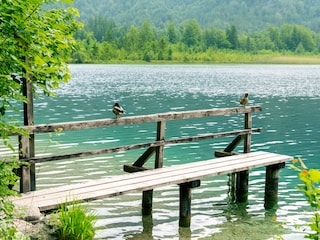 Holiday house Ebensee Environment 36