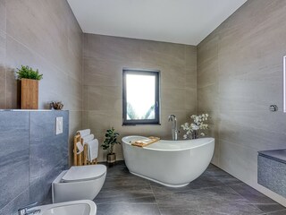 Villa Vabriga Caratteristiche 33