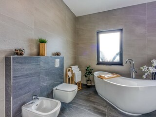 Villa Vabriga Caratteristiche 32