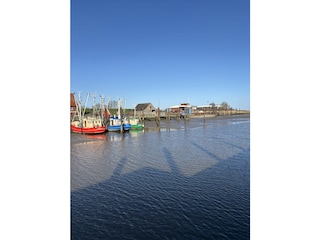 Ferienhaus Fedderwardersiel Umgebung 23