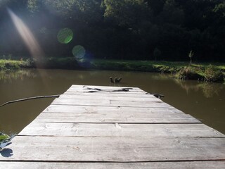 Casa per le vacanze Beuren (Hochwald) Ambiente 19