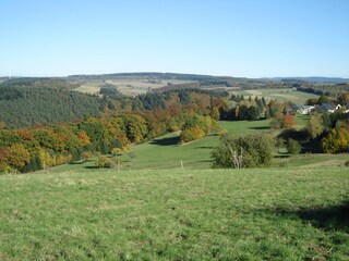 Vakantiehuis Beuren (Hochwald) Omgeving 20