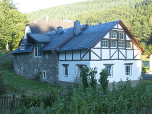 Ferienhaus Romantische Mühle (Remise) Haustiere willkommen - Beuren (Hochwald) - image1