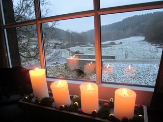 Aussicht vom Wohnzimmer auf Teich