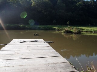 Casa per le vacanze Beuren (Hochwald) Ambiente 20