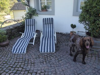 Casa de vacaciones Beuren (Hochwald) Grabación al aire libre 5