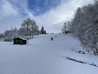 Schlittenfahren am Heidelstein