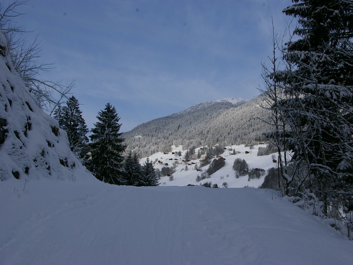 Wanderweg am Haus