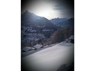 Winterausblick
