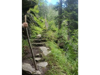 Wandern