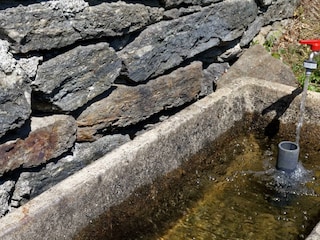 DSC_6664_DxO
