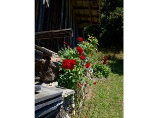 DSC_6671_DxO