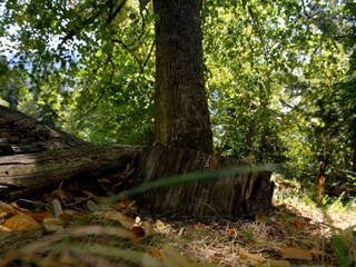 DSC_6689_DxO