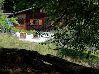 DSC_6695_DxO